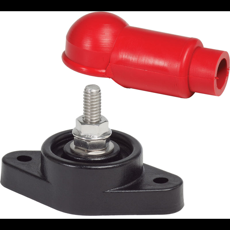 CONNETTORE ALTO AMPER. Ø M8 - 4102002 - BLUE SEA