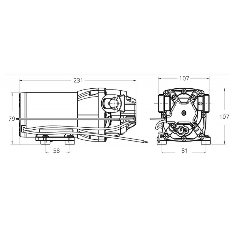 PARMAX 2 35PSI 24V - 1616581 - JABSCO