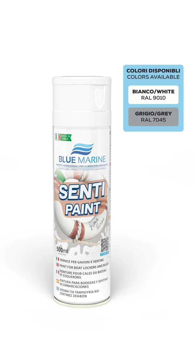 Senti Paint spray ral 9010