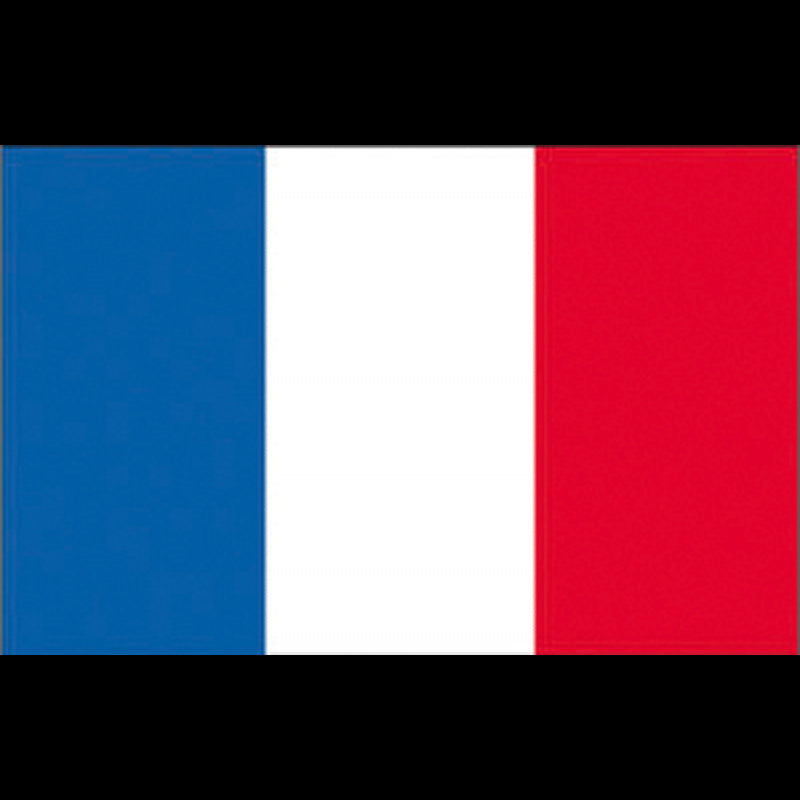 BANDIERA FRANCIA CM.40X60 - 5252482 - ADRIA BANDIERE