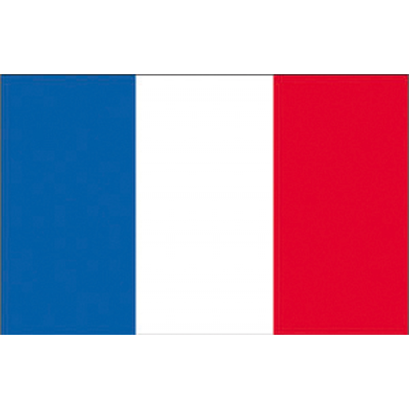 BANDIERA FRANCIA — SKU 5252328 — immagine 1