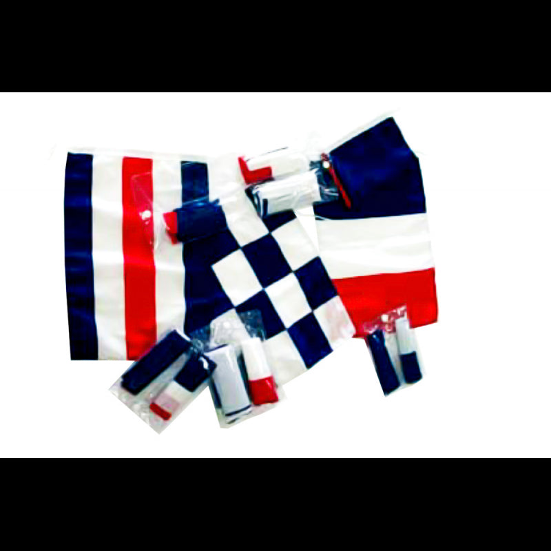 BANDIERE FRANCIA REGOLAMEN.30x40 - 5252564 - ADRIA BANDIERE