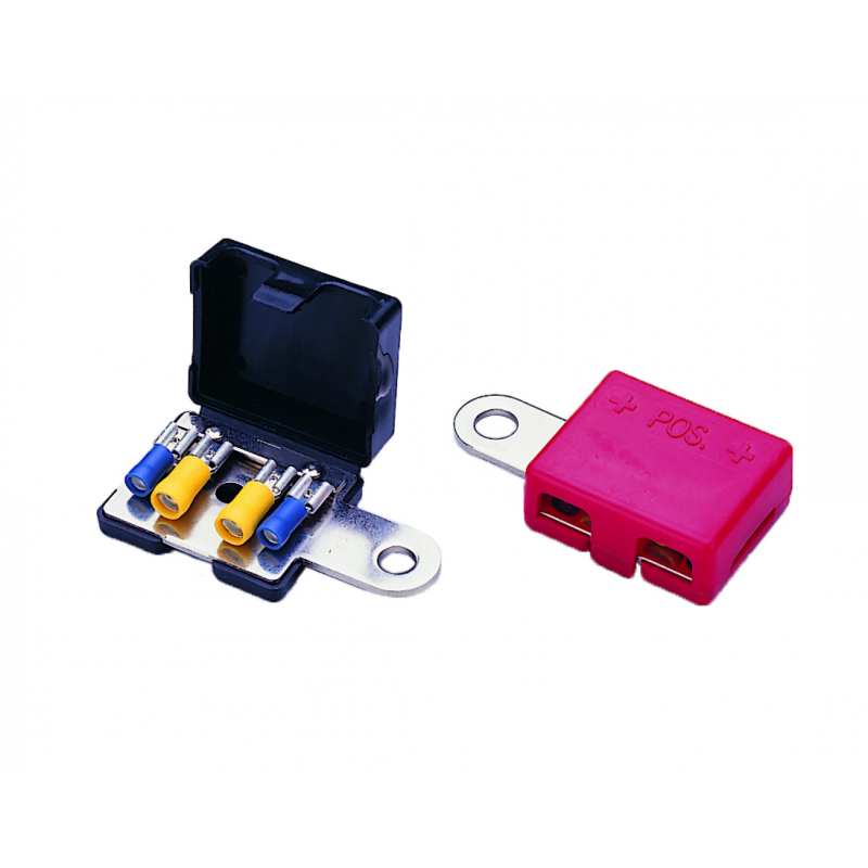 COPPIA TERMINALI BATTERIA - 3939930 - AAA