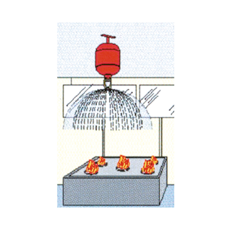 ESTINTORE AUTOMATICO IN POLVERE CON MANOMETRO — SKU 1213302 — immagine 2