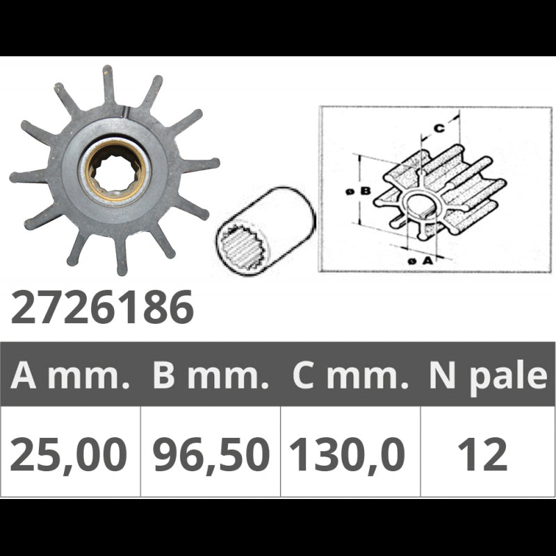GIRANTE POMPE JOHNSON 09-0820B - 2726186 - FINNORD