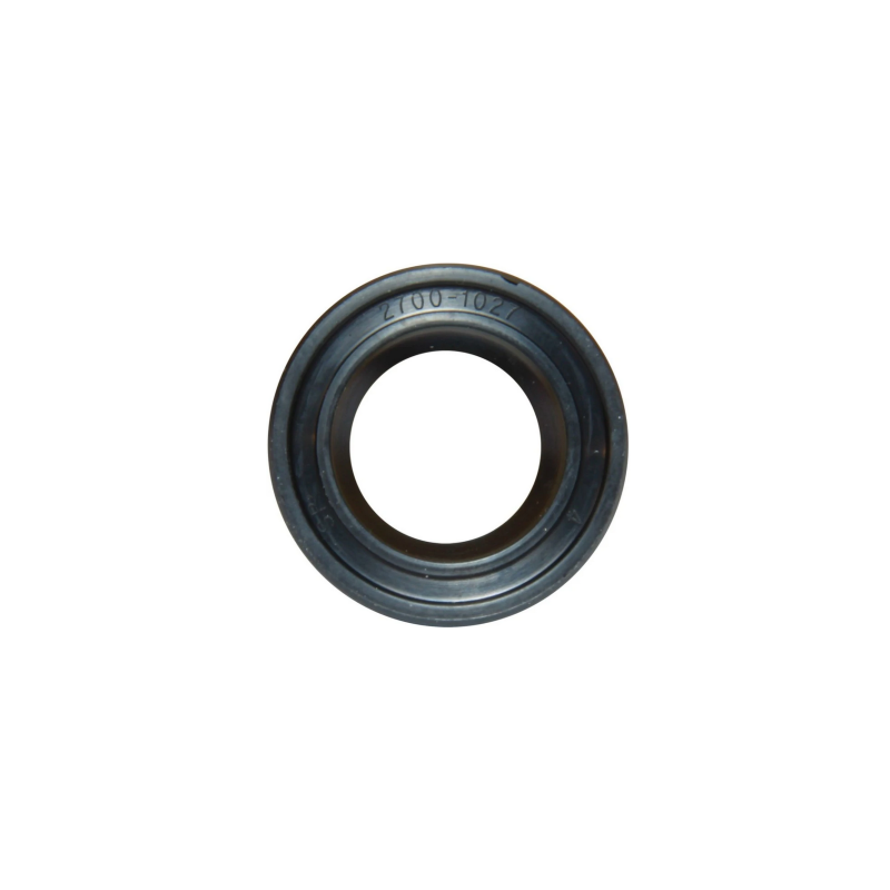 GUARNIZIONE ALBERO POMPA — SKU ZSP2700-1027B — immagine 1