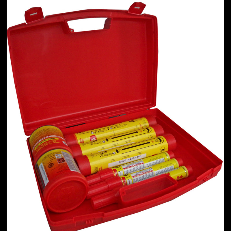 KIT FRANCIA OLTRE 6 M. - 1210003 - FDF