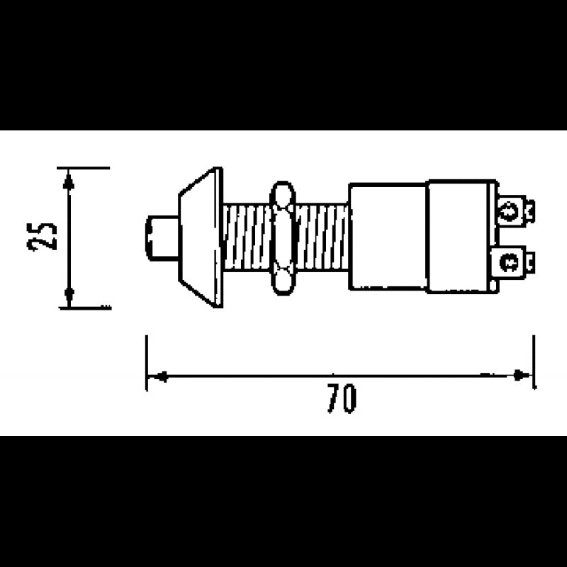 PULSANTE 30A - 3939020 - QUICK