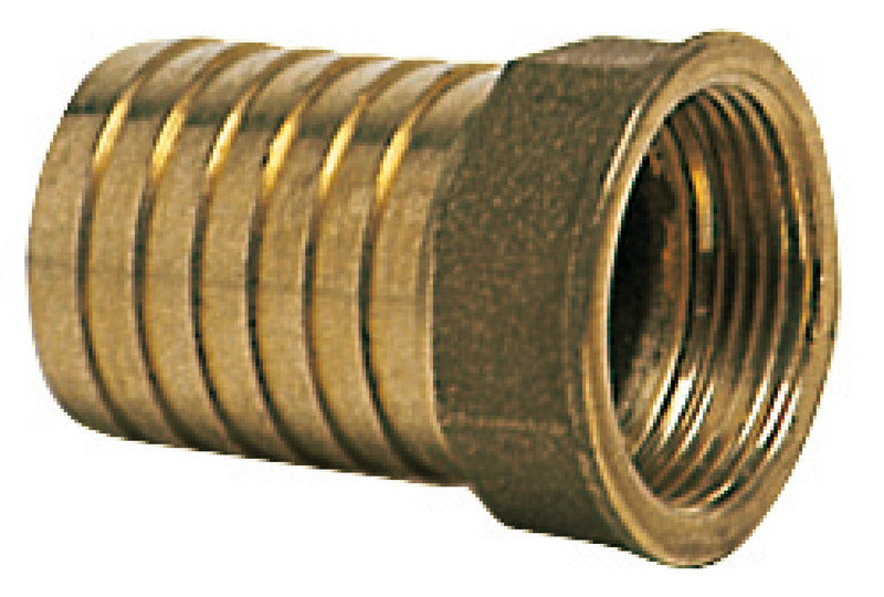 Portagomma femmina 3/8 x 12 mm