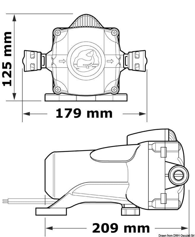 Autoclave Whale Watermaster 11,5 l/min 12 V retail