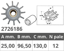 GIRANTE JOHNSON 09-0820B