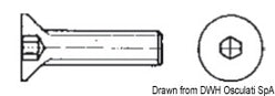 Brugole 6x100 AISI 316 316.7991/6X100