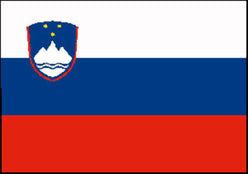 BANDIERA SLOVENIA CM.30X45