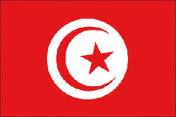 BANDIERA TUNISIA CM.20X30