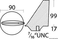 Anodo pinna Mercury poppieri