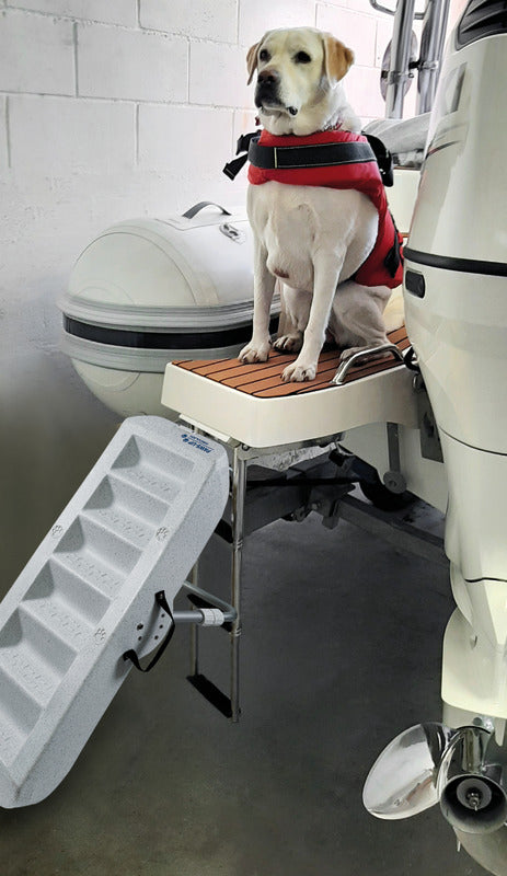 Scaletta per cani  Scaletta per cani