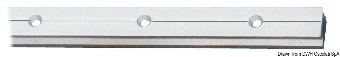 Rotaia lega leggera 31x19 mm  2 m