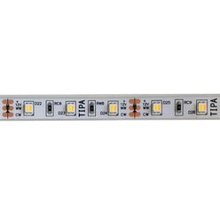 Strip a LED luce bianca dimmerabile 12V IP66 – 5 metri