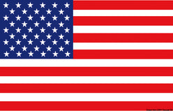 Bandiera USA 20 x 30 cm