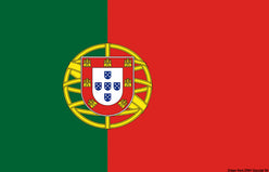 Bandiera Portogallo 20 x 30 cm