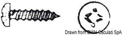 Autof.cro.cil. 3,9X19 AISI 304 AUTO/TC3,9X19